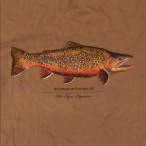 Patagonia world trout t-shirt S